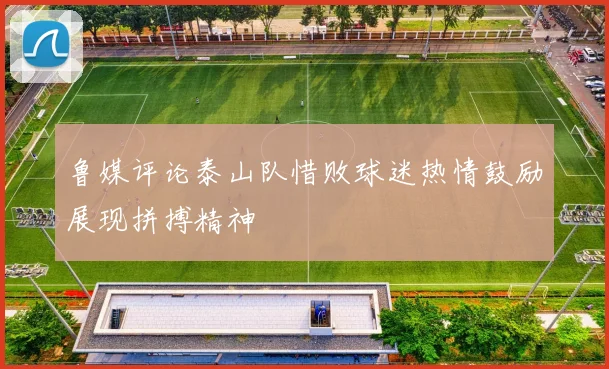 鲁媒评论泰山队惜败球迷热情鼓励展现拼搏精神